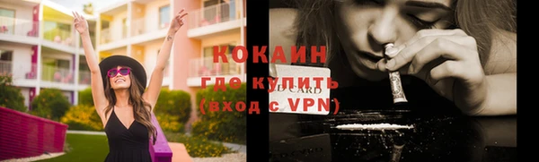 сатива Армянск