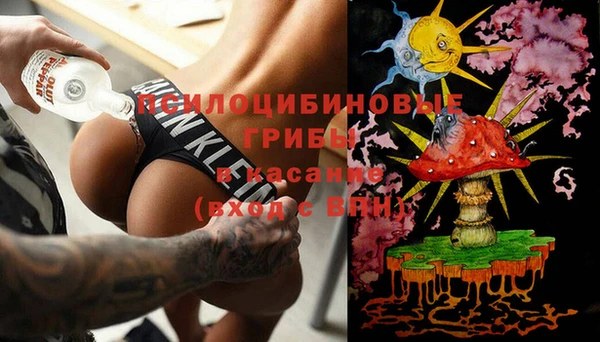 сатива Армянск