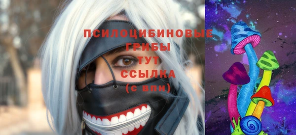 стафф Аркадак
